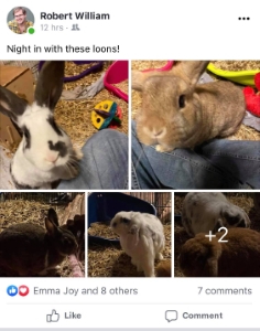 A Night in with Loons